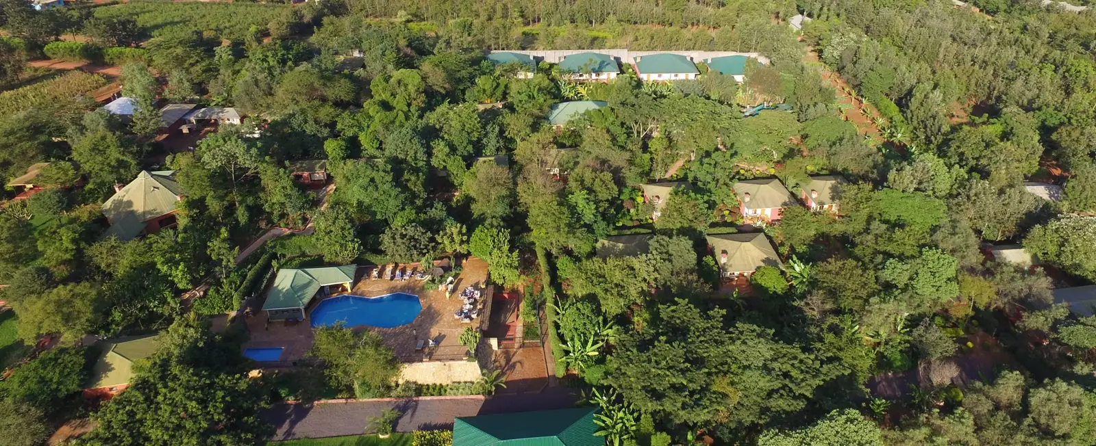 Aerial view of Kudu Lodge’s bungalows and pool among the trees