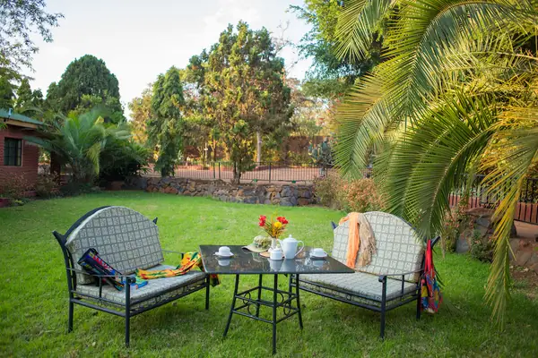 Garden lawn with chairs under palms