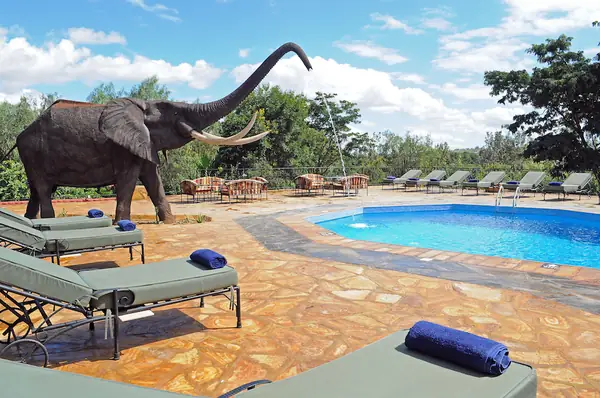 Elephant statue spouting water into the pool beside sun loungers