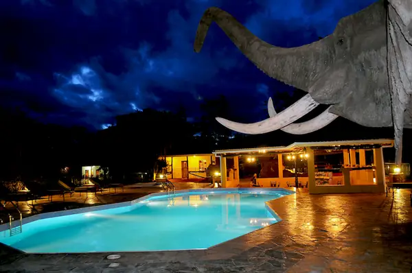 The pool and elephant statue lit up at night