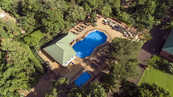 Aerial view of the pool and bar among trees