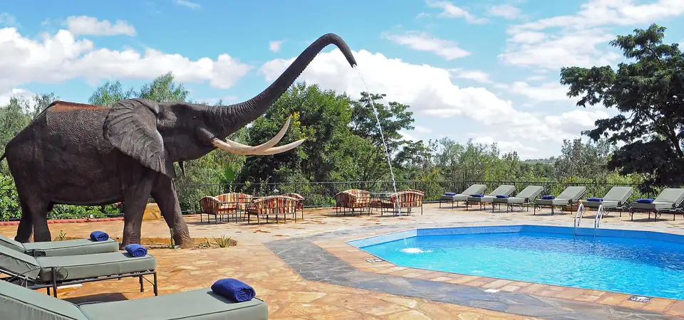 The life-size elephant statue beside the swimming pool at Kudu Lodge, with sun loungers in the foreground